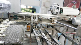 天嘉SD-03速凍水餃流水線 滎陽天嘉食品機(jī)械制造廠的日用百貨生產(chǎn)利器